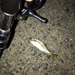 会社帰りに(oﾟ3ﾟb)b