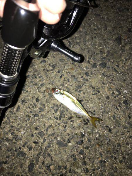 会社帰りに(oﾟ3ﾟb)b