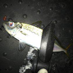 プロトアジング