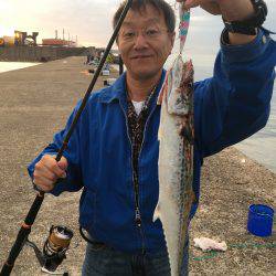 イカ調査釣行〜朝まずめ青物