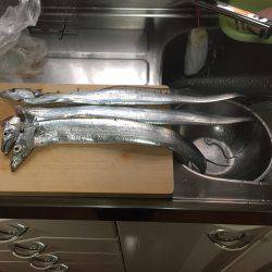 一年ぶりの食品コンビナート