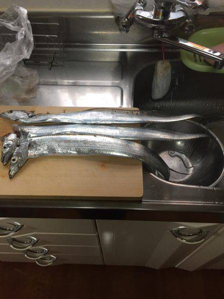 一年ぶりの食品コンビナート