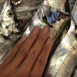 爆風＋小雨でしたが、、