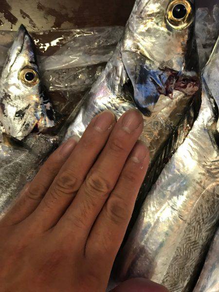 爆風＋小雨でしたが、、