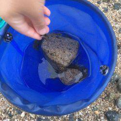 ファミリーフィッシング？