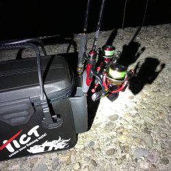 久しぶりの柴山港アジング