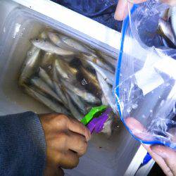 今回はとても渋い