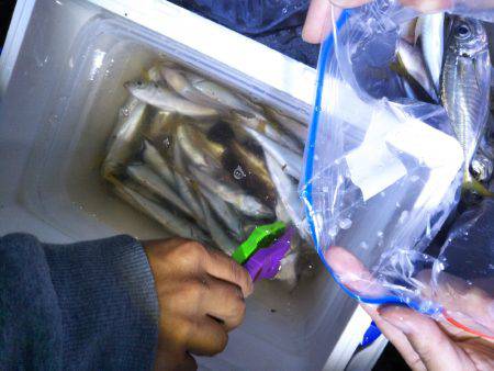 今回はとても渋い