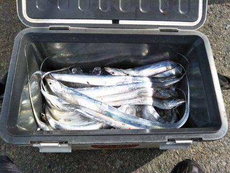 タチウオ炙り♪