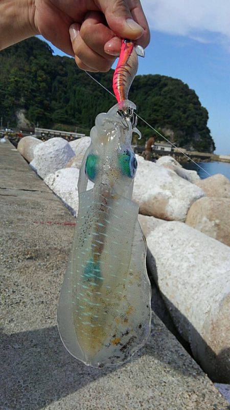 大きさはバラバラ