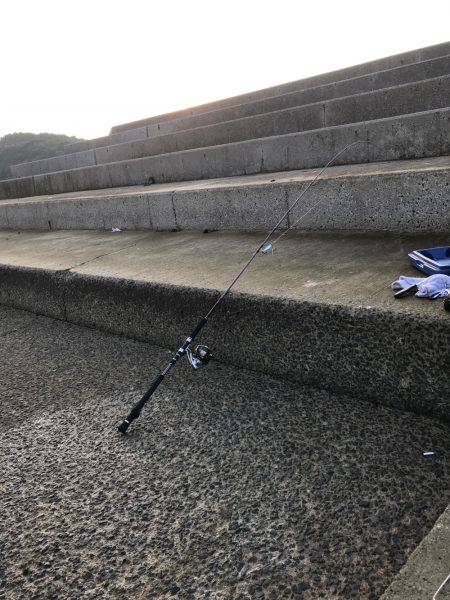 やっぱり朝まずめ(＾ｰ^)