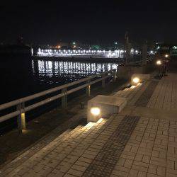 初めてワームでアジ