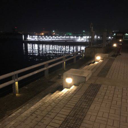 初めてワームでアジ