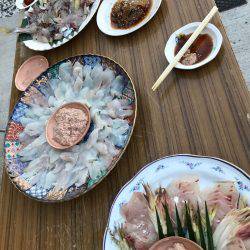 萩市 船五目釣り