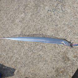 ポーアイ沖堤青物狙い