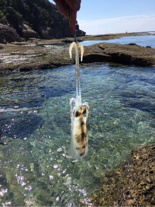 遠征でみなべなまで