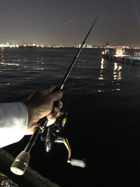 アジング成功！