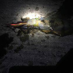 もう薄着では寒いですm(_ _)m