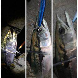 試合に勝って勝負に負け的な…サゴハマチ