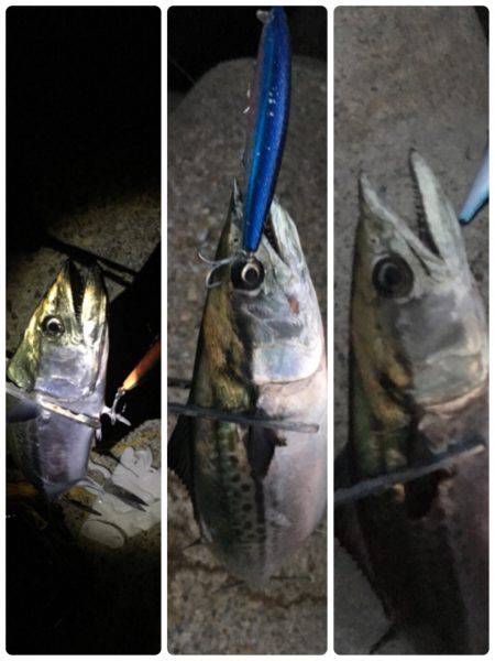 試合に勝って勝負に負け的な…サゴハマチ