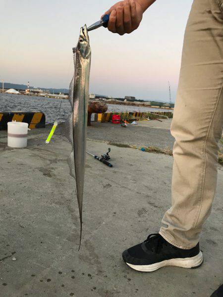 ちょい釣れました