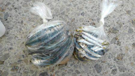 ファミリーフィッシングでGET！！