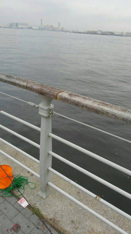 コスモスクエアにて投げサビキ