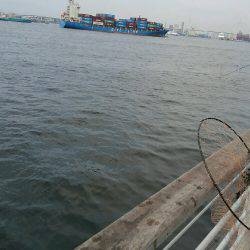 コスモスクエアにてカゴ釣り、太刀魚釣り