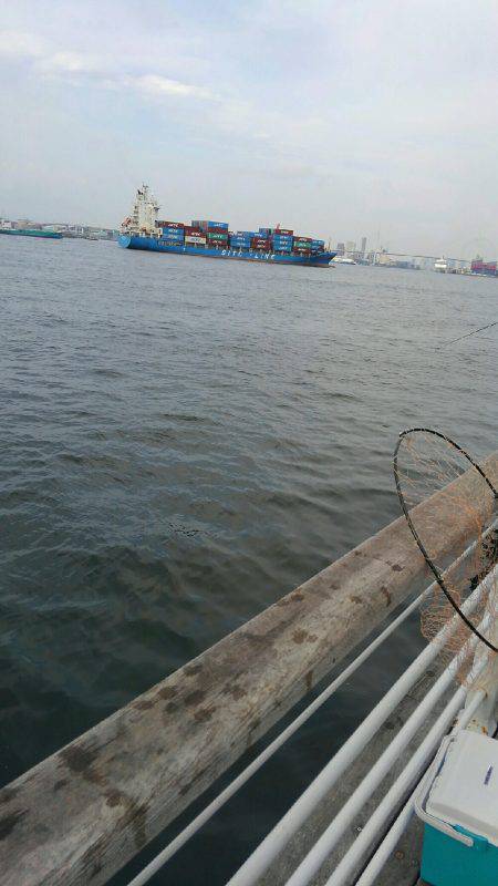 コスモスクエアにてカゴ釣り、太刀魚釣り