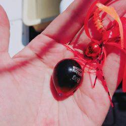 タイラバ巻き巻き