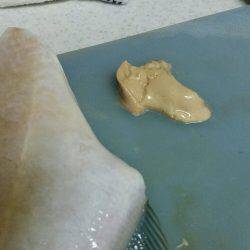 ポーアイ沖堤釣行