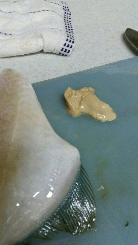 ポーアイ沖堤釣行