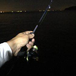 アジングやりました！