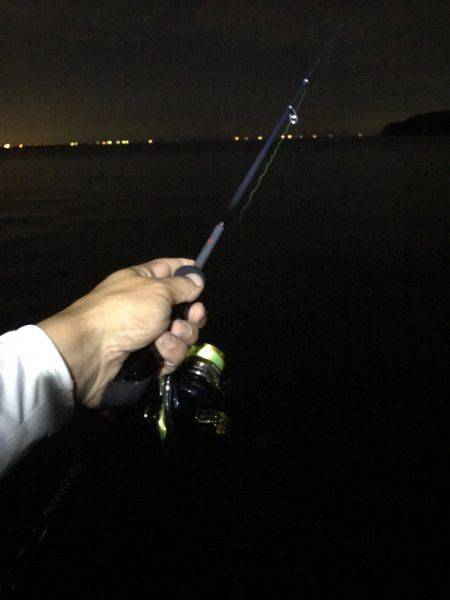 アジングやりました！