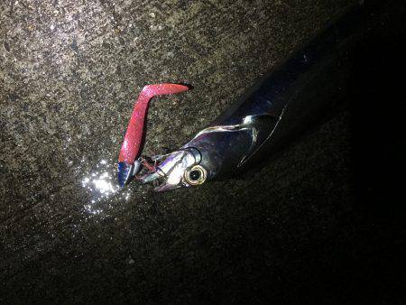 渋い時こそルミノーバ、間違いないです！！