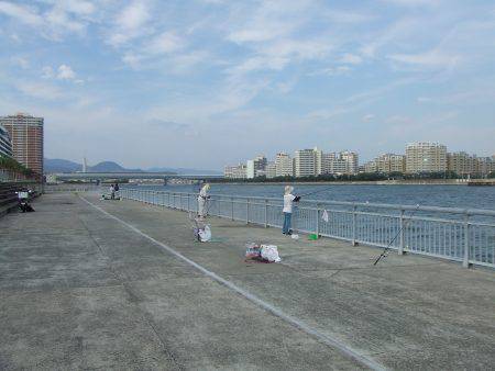 南芦屋浜 サヨリ爆超 楽しい!楽しい!