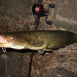 夏の癒やし釣行もいよいよ終盤に
