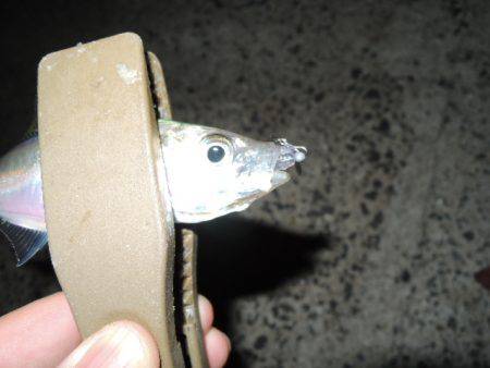 スプリットゲーム