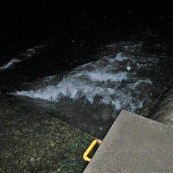 リバーシーバス