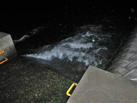 リバーシーバス