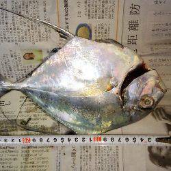 久しぶりの好釣