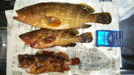 寒くなって釣れなくなったと思ったヤツが！