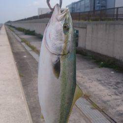 トリプルスリー？達成❗