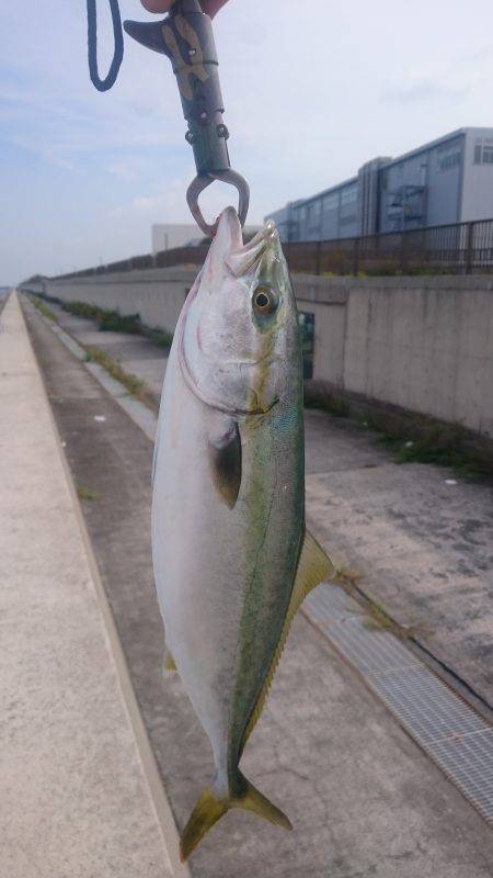 トリプルスリー？達成❗