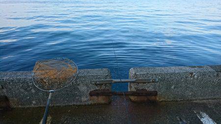 ひさびさの大物