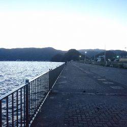 敦賀半島新子調査