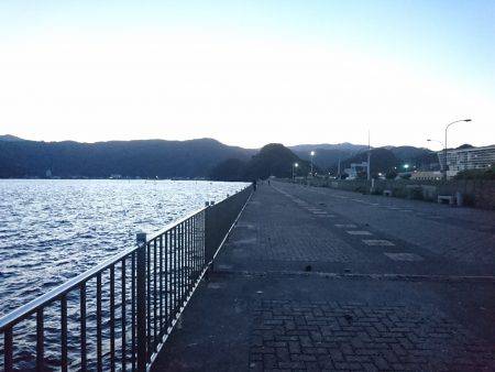 敦賀半島新子調査