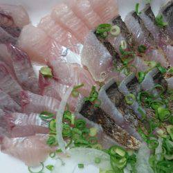 北港釣り公園にて