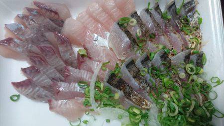 北港釣り公園にて