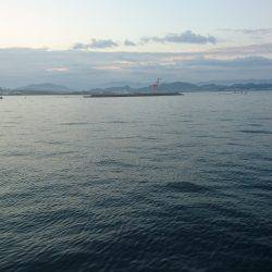 ドラゴン太刀魚